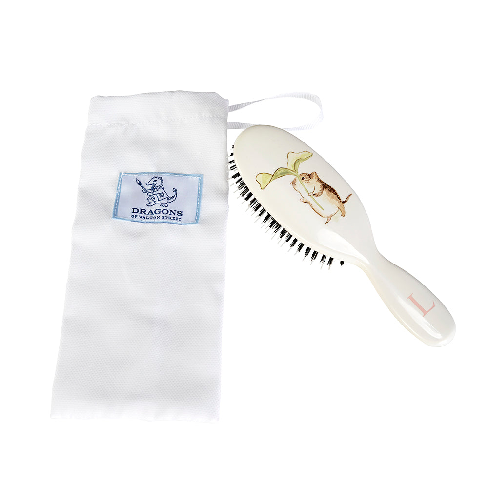 Small Hairbrush - Beatrix Potter Timmy Willy
