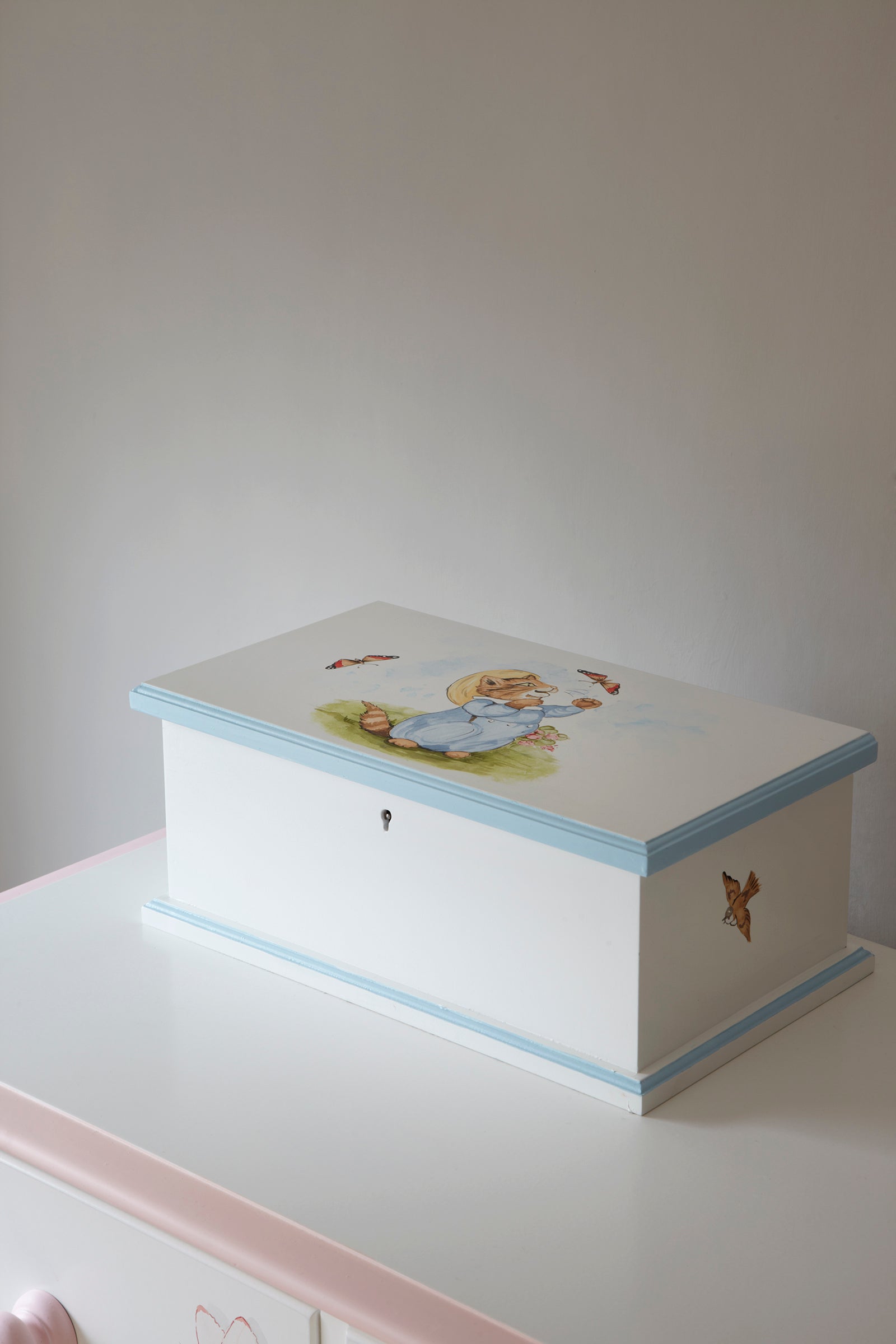 Personalised Hand Painted Memory Box - Beatrix Potter with Blissful Blue Trim